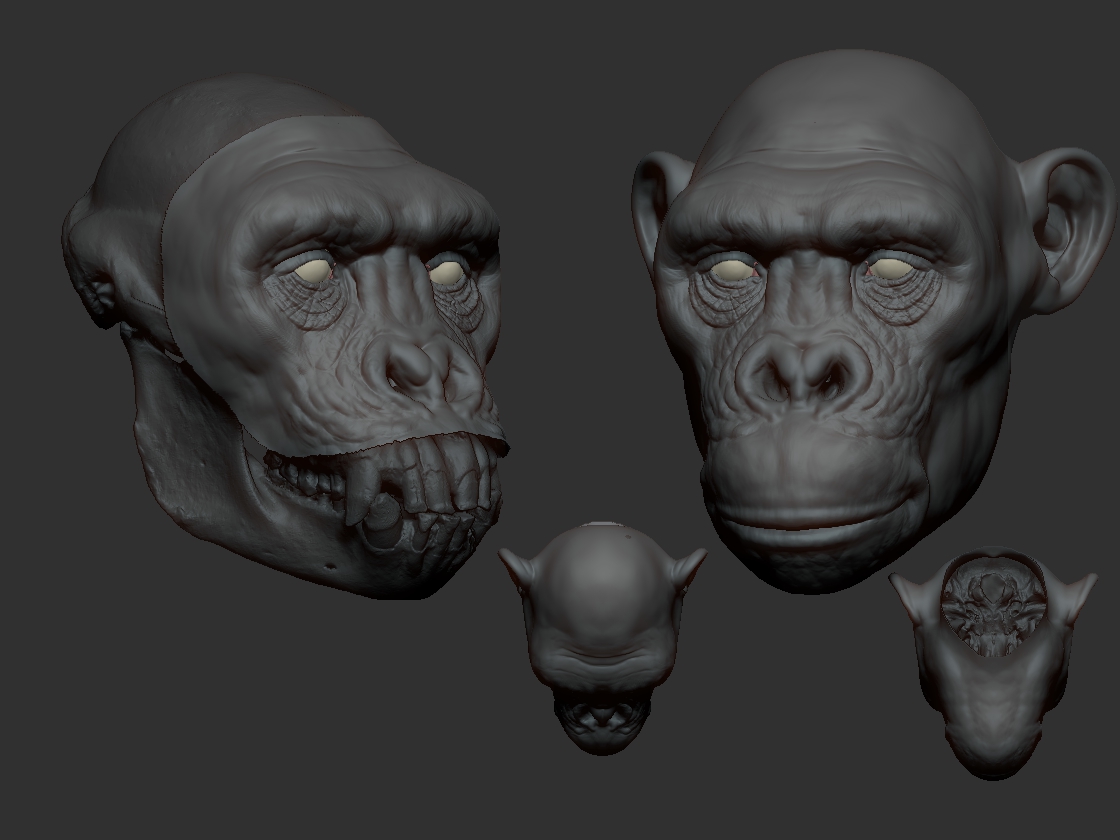 Chimp-02