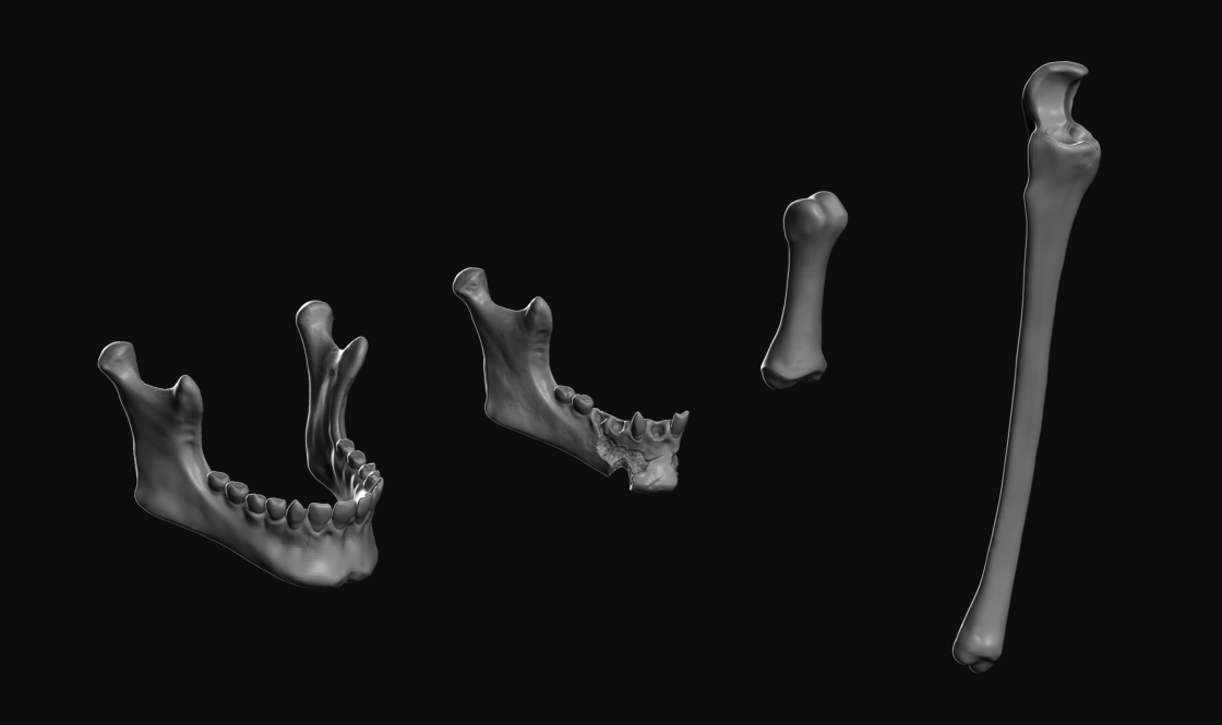 06_IMM_WIP_01.jpg