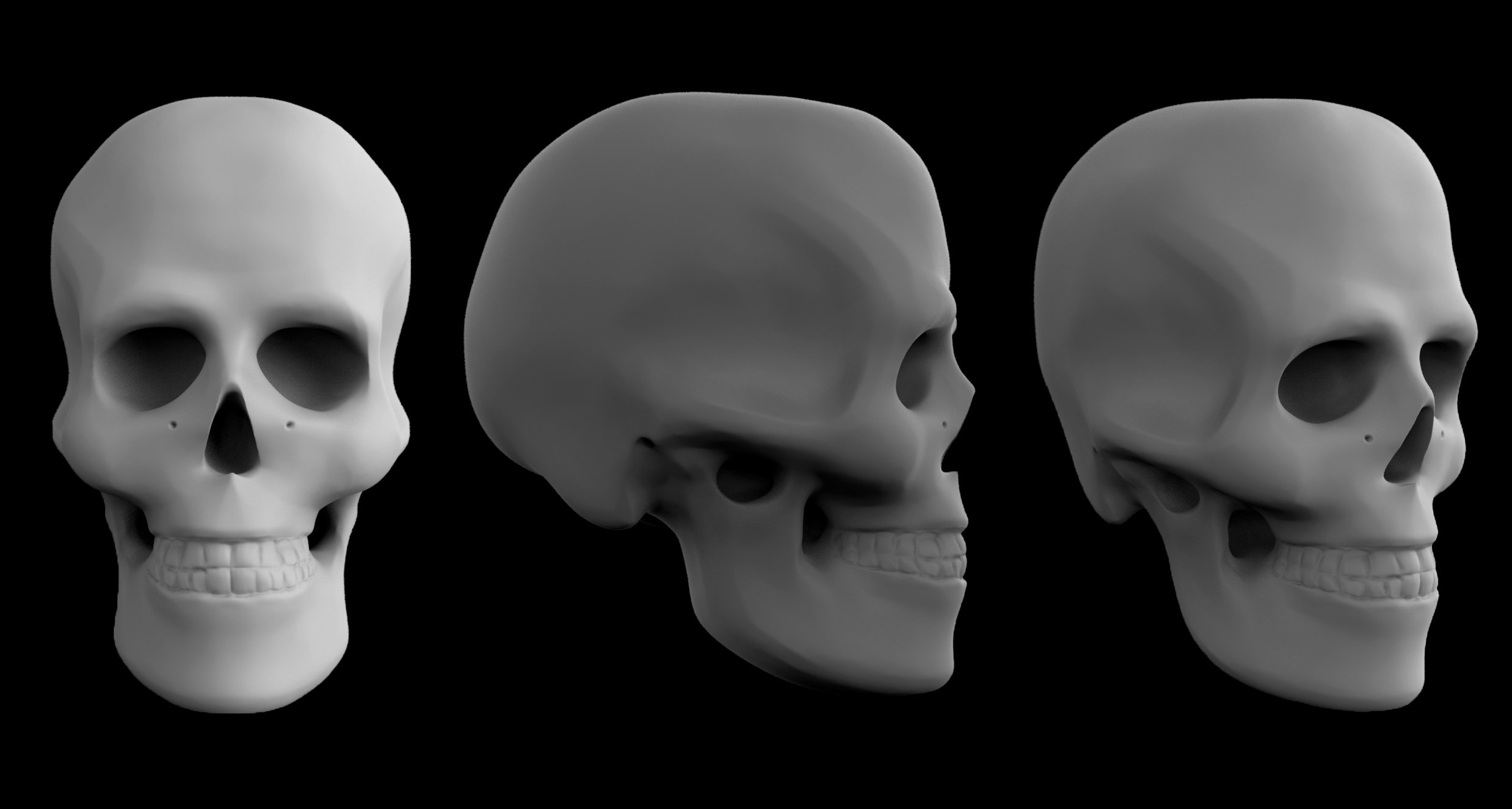 skull_study.jpg