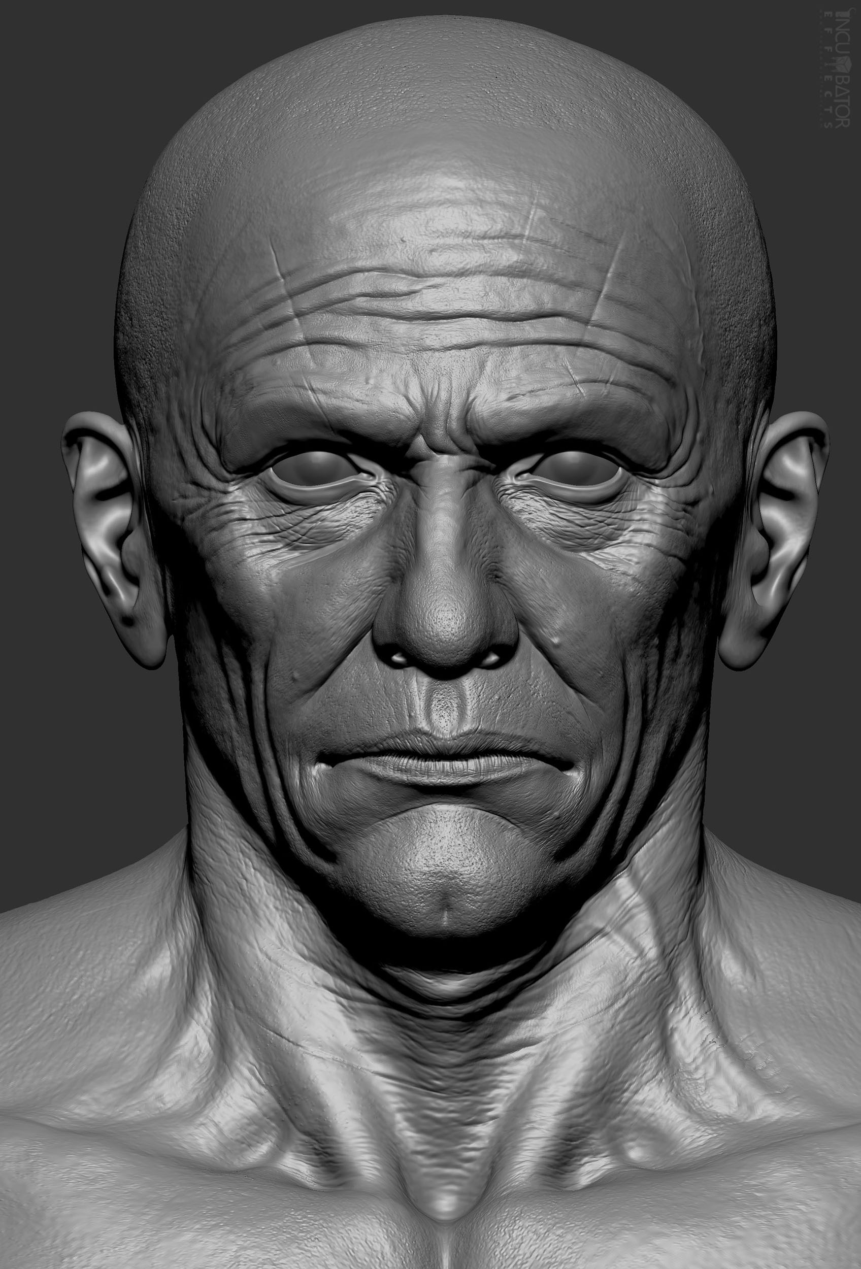 faceSculptDetail.jpg