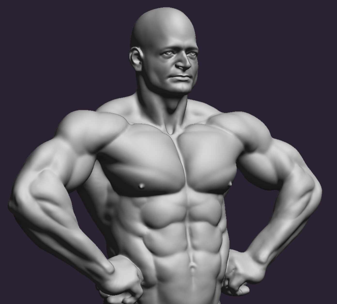Bodybuilder anatomy practice ZBrushCentral