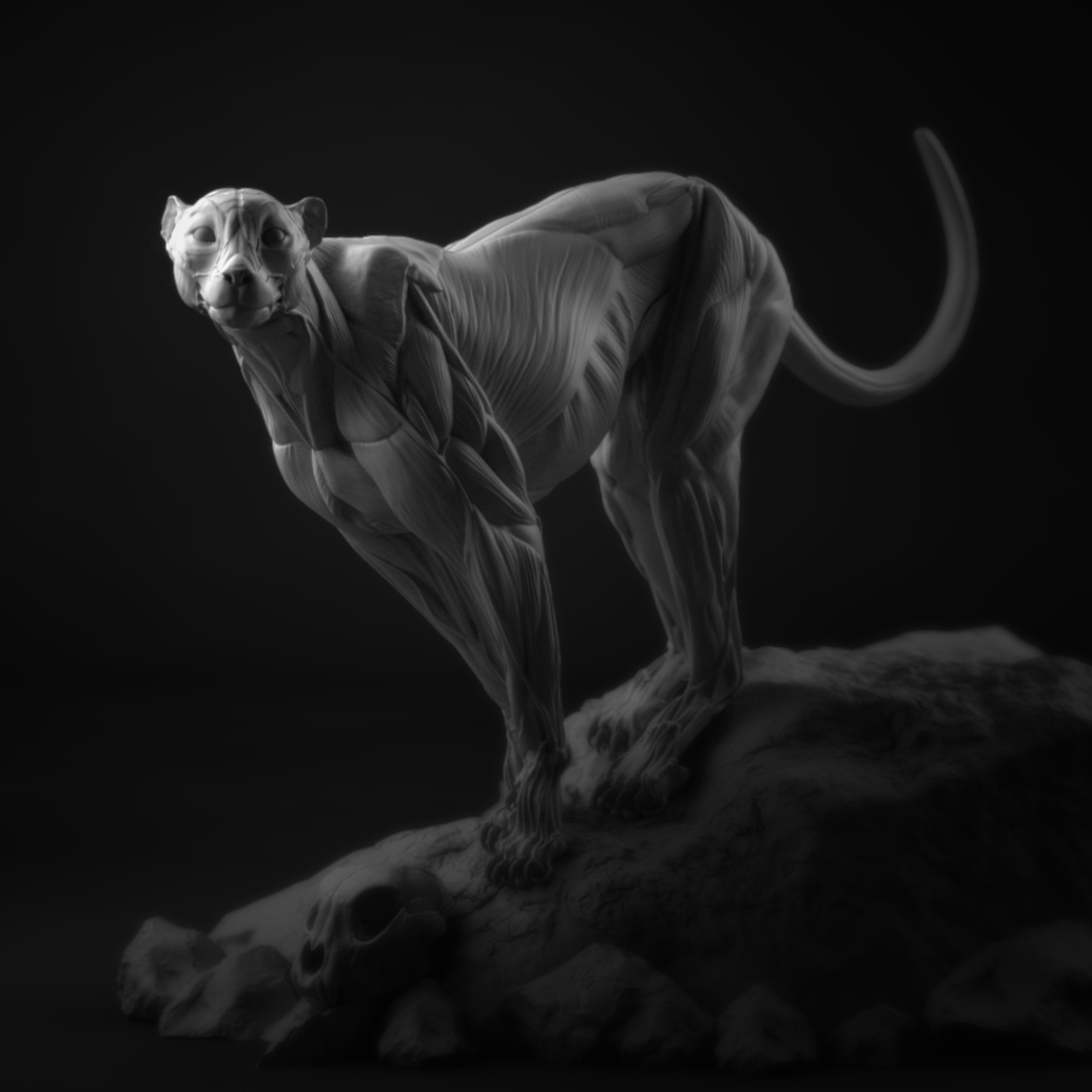 Cheetah_Pose01_v02