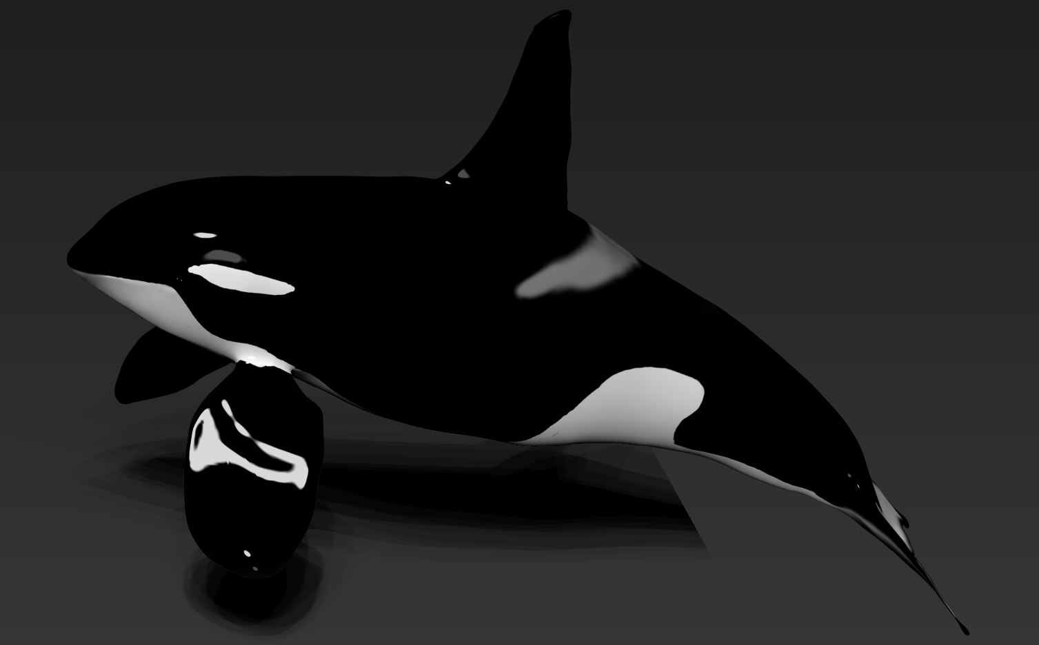 orca-male11.png