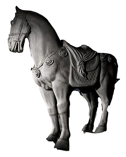 horse.jpg