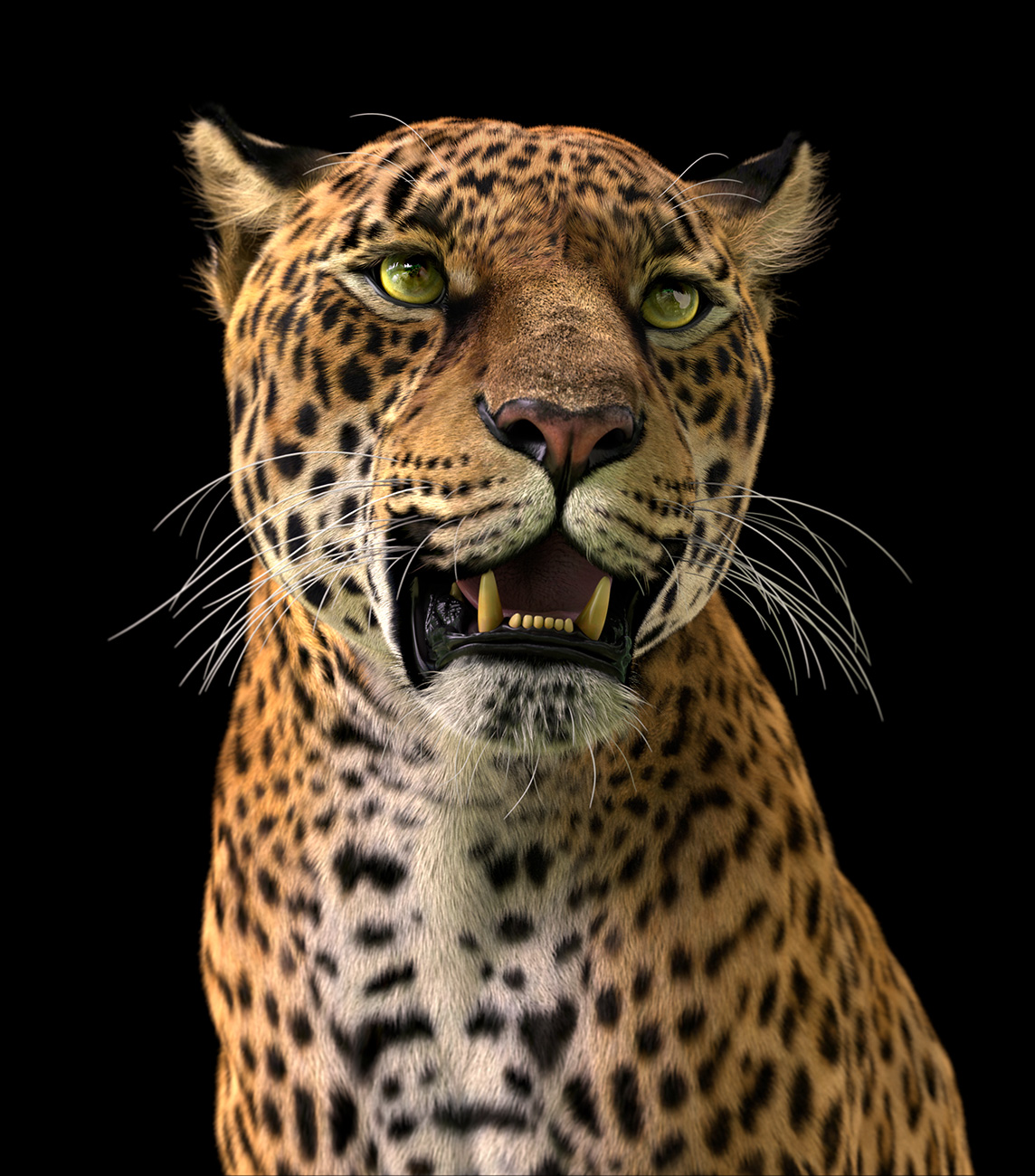 Leopard-Portrait