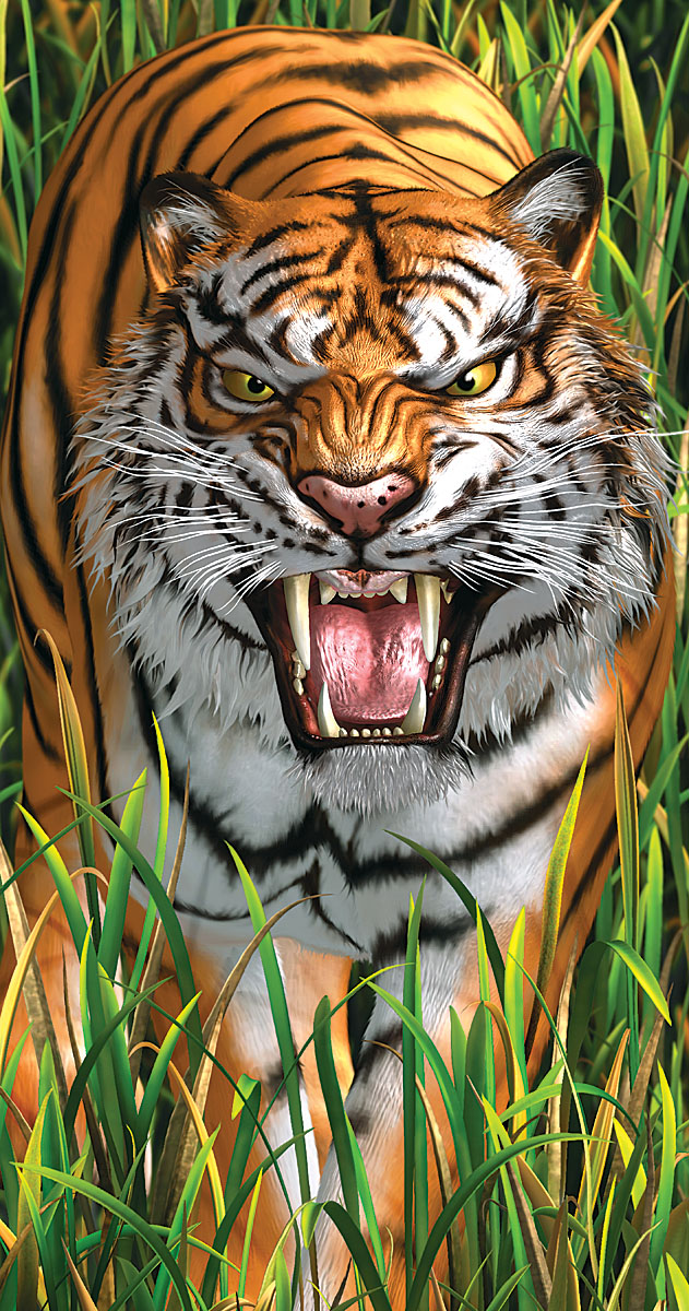tiger.jpg
