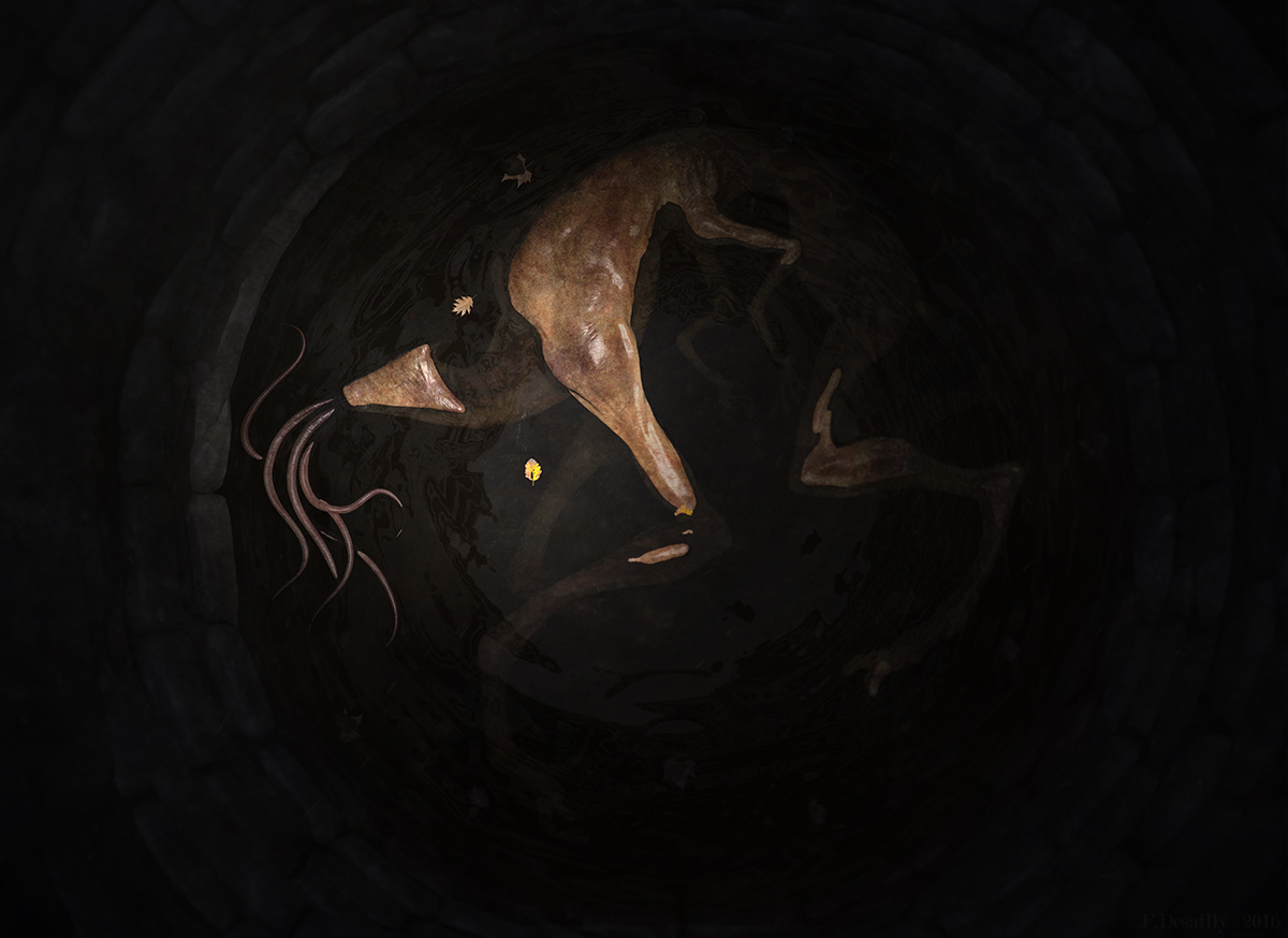 There's something down the hole.jpg