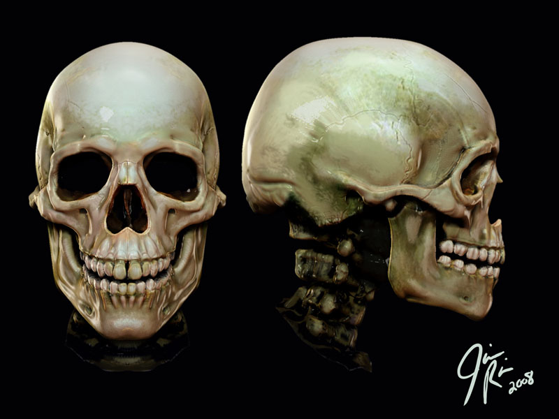 Skull_Render_03.jpg