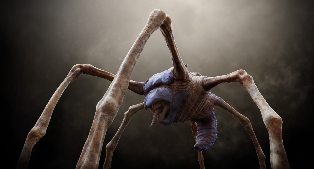 bugcompo2_small.jpg