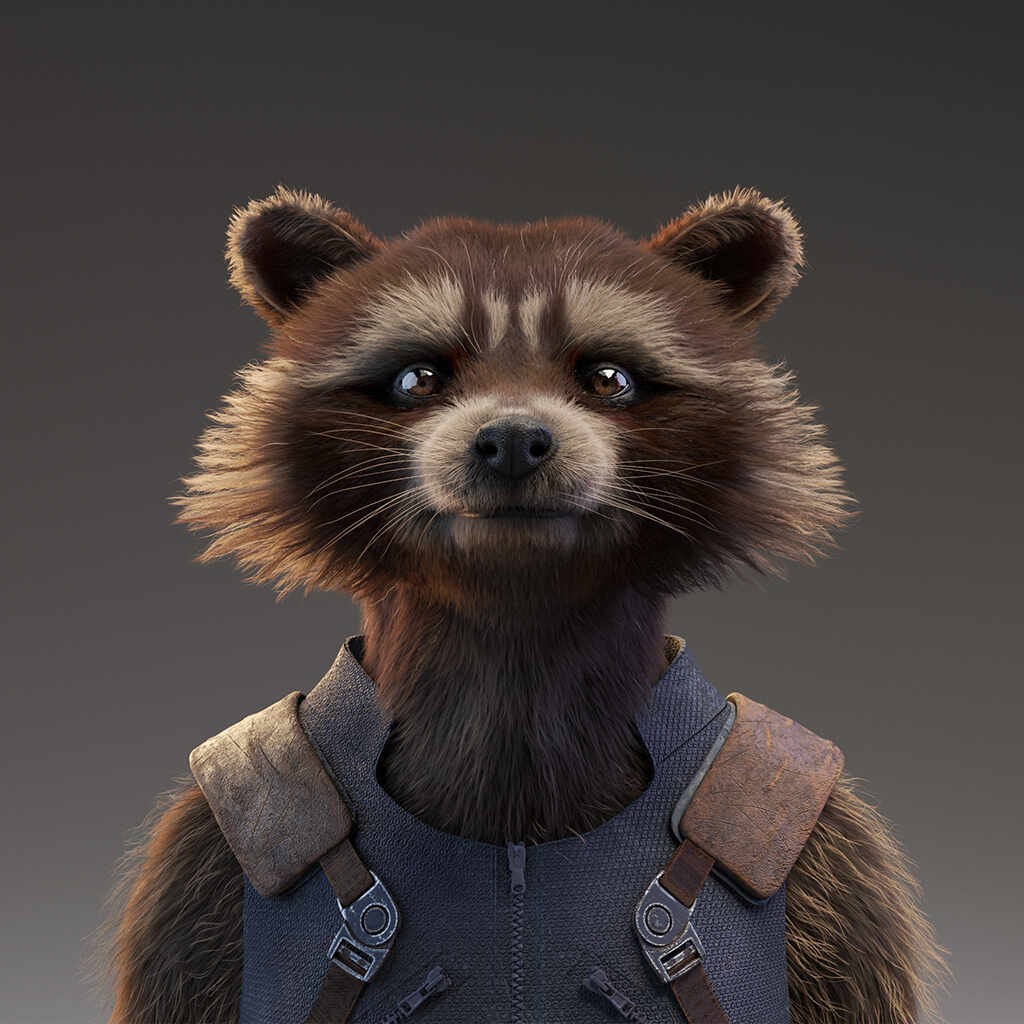 rocket racoon number 1