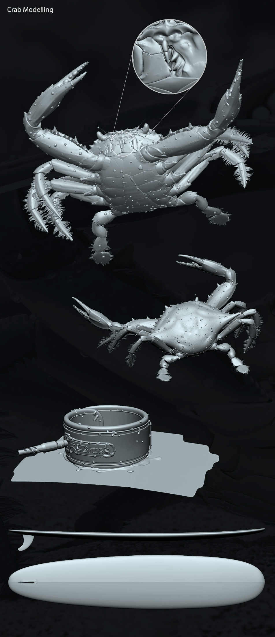 crab_05.jpg