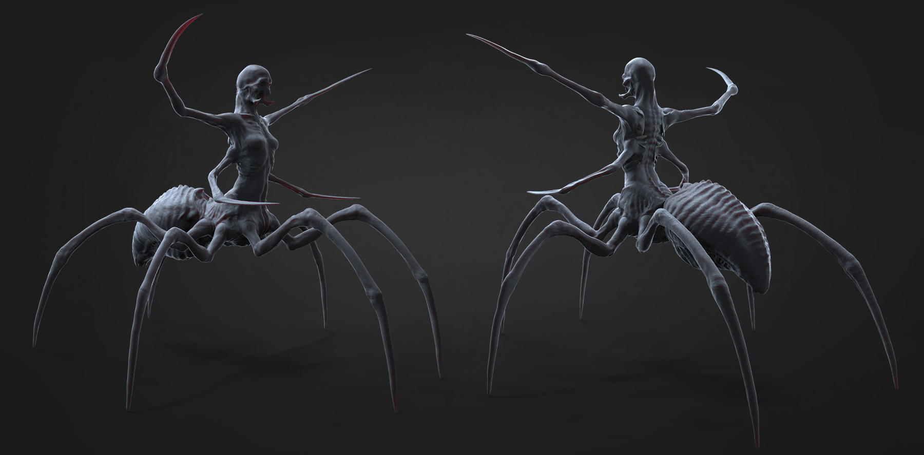 arachna07.jpg