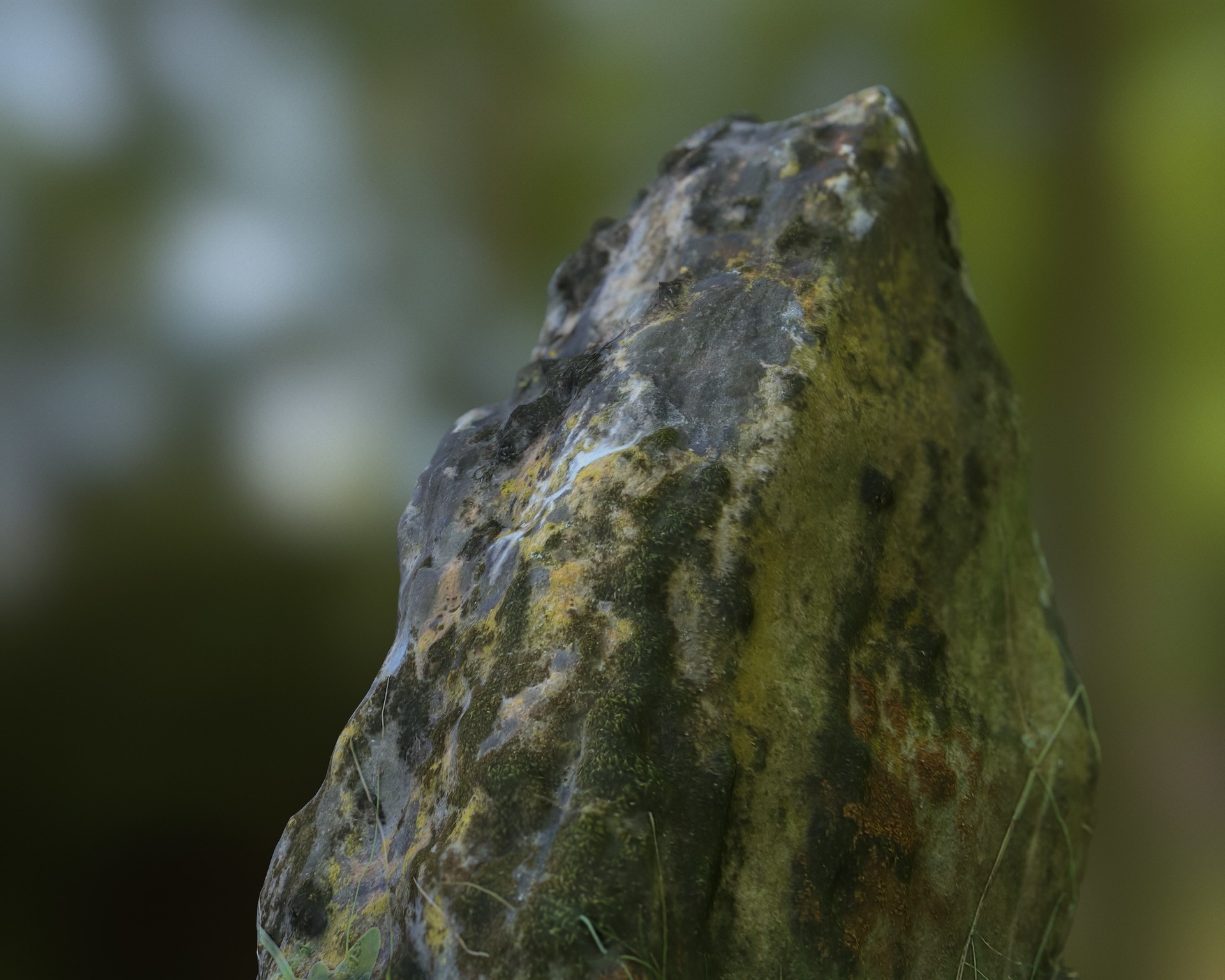 lorenzo-trionfante-jhgfscreenshot002.jpg