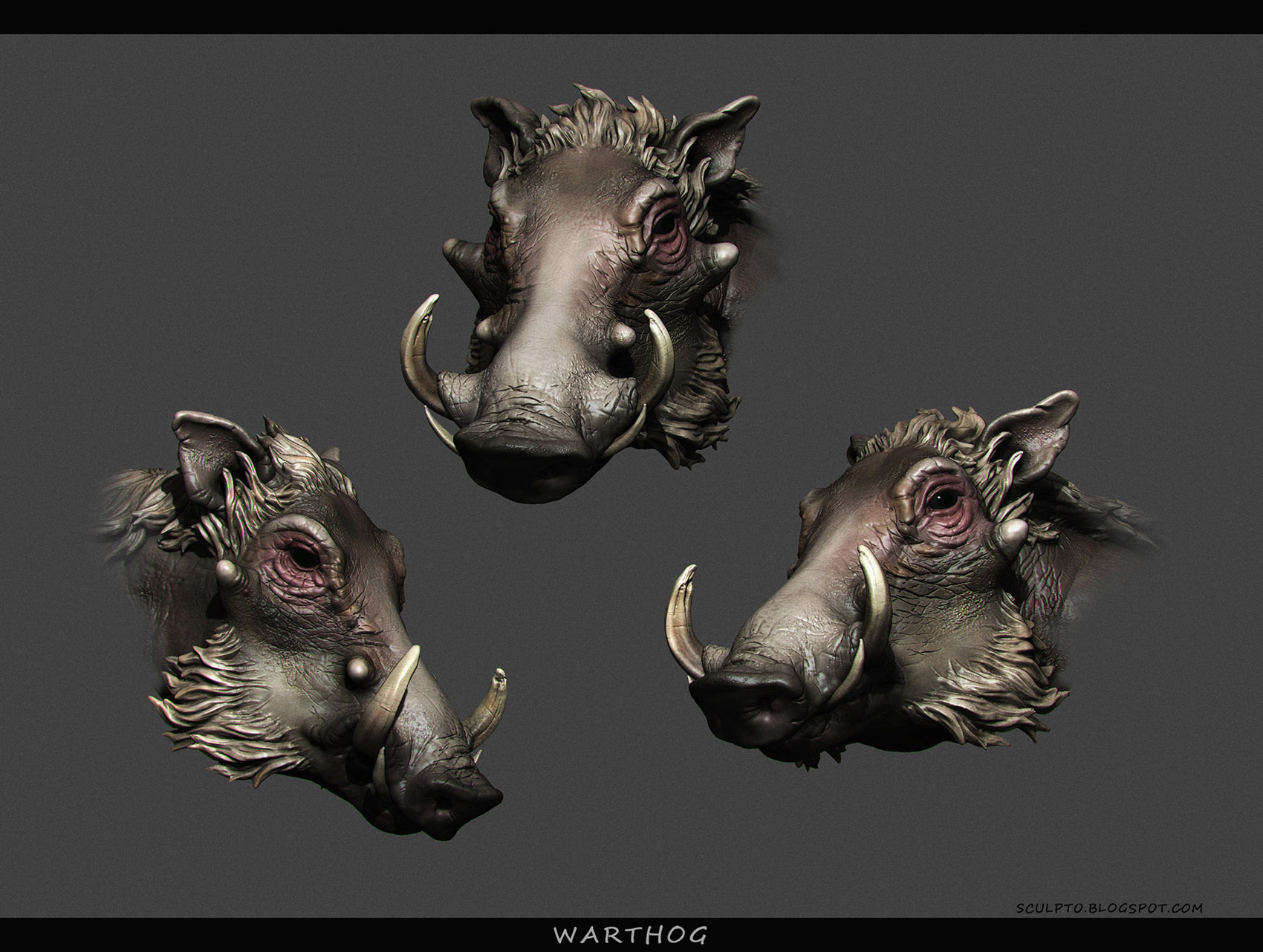warthog head color 1700x_9.jpg