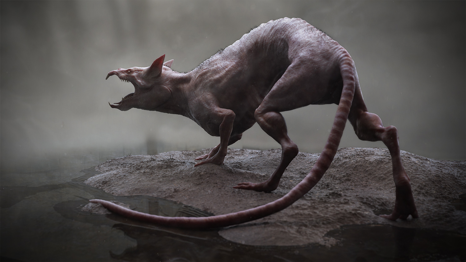 rat2.jpg
