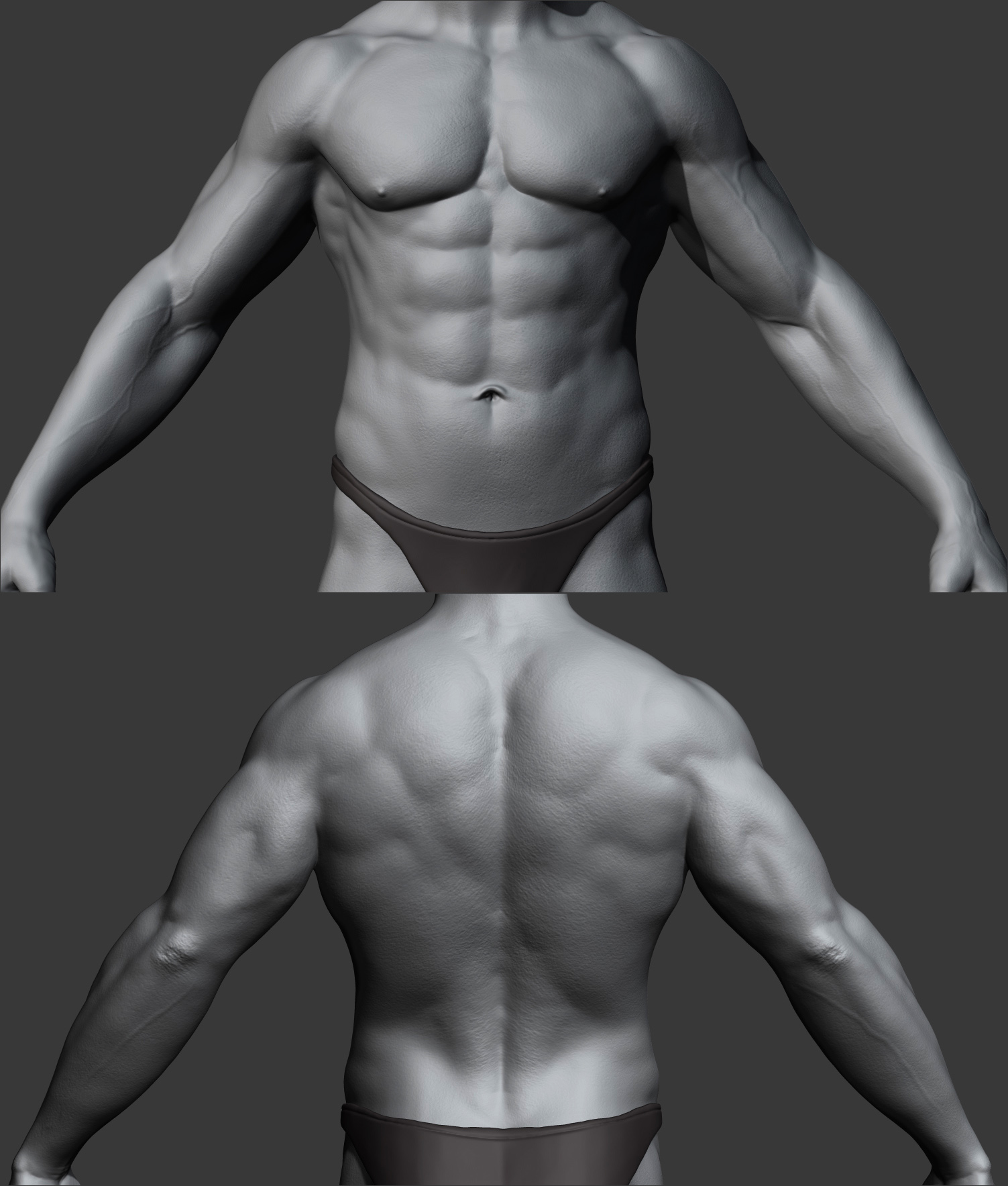 Anatomy_05.jpg