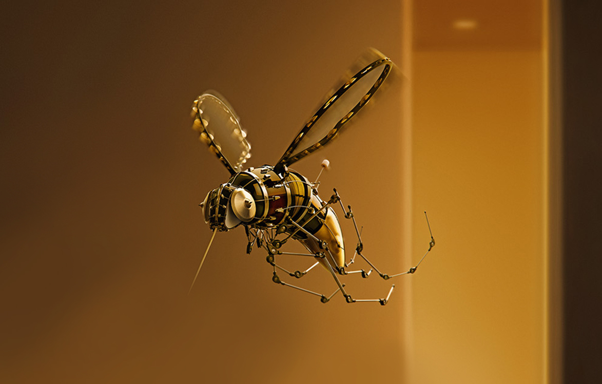 Mosquito_05.jpg