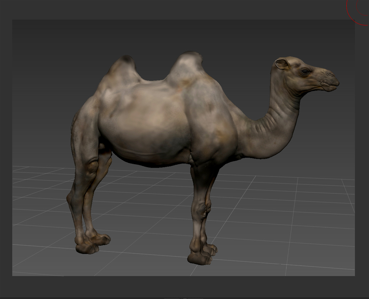 camel_polypaint_web.jpg