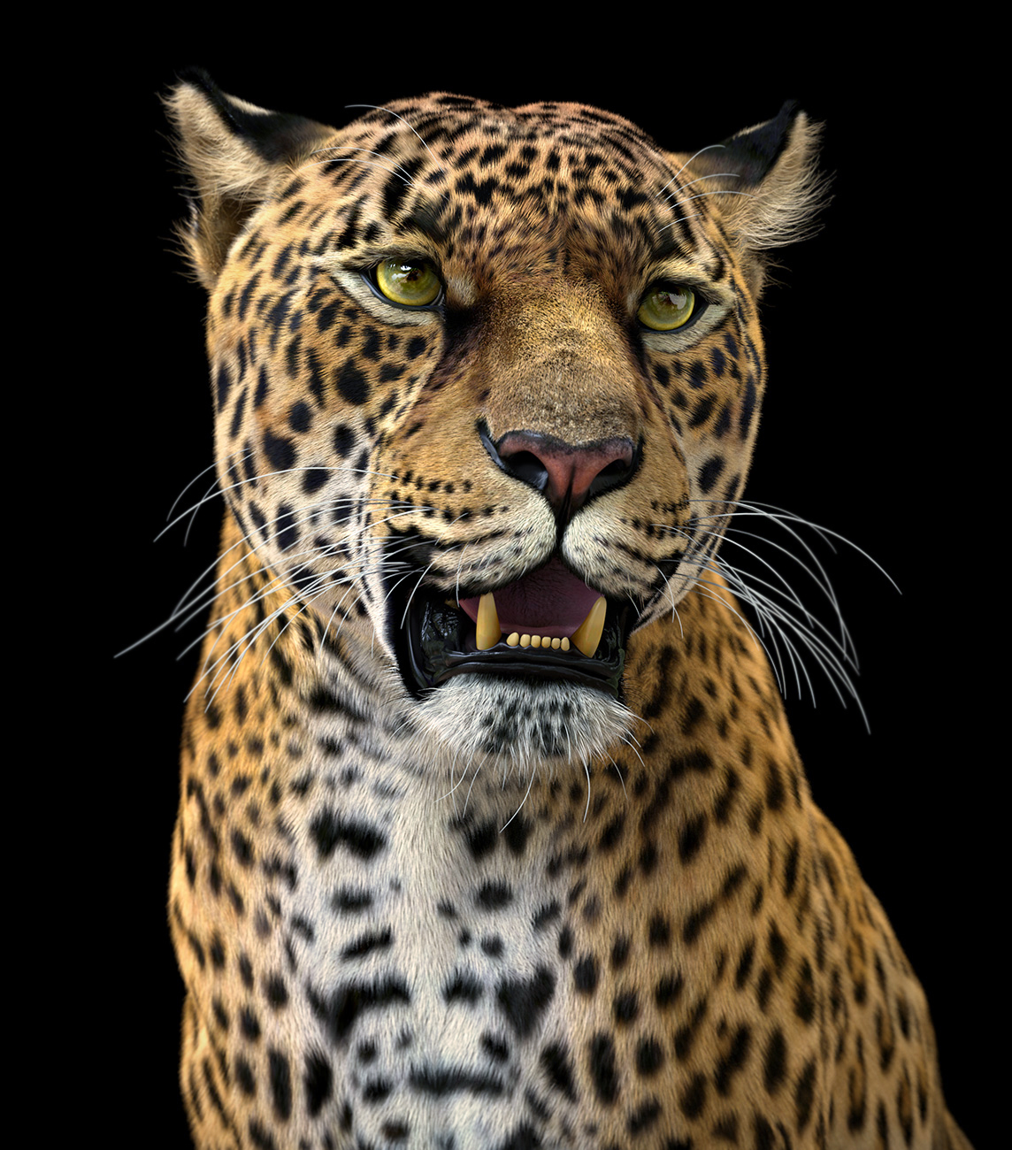 Leopard-Portrait1