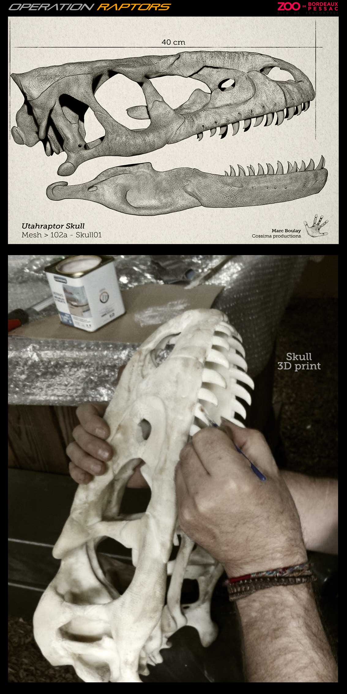 UtahraptorSkull-3Dprint.jpg