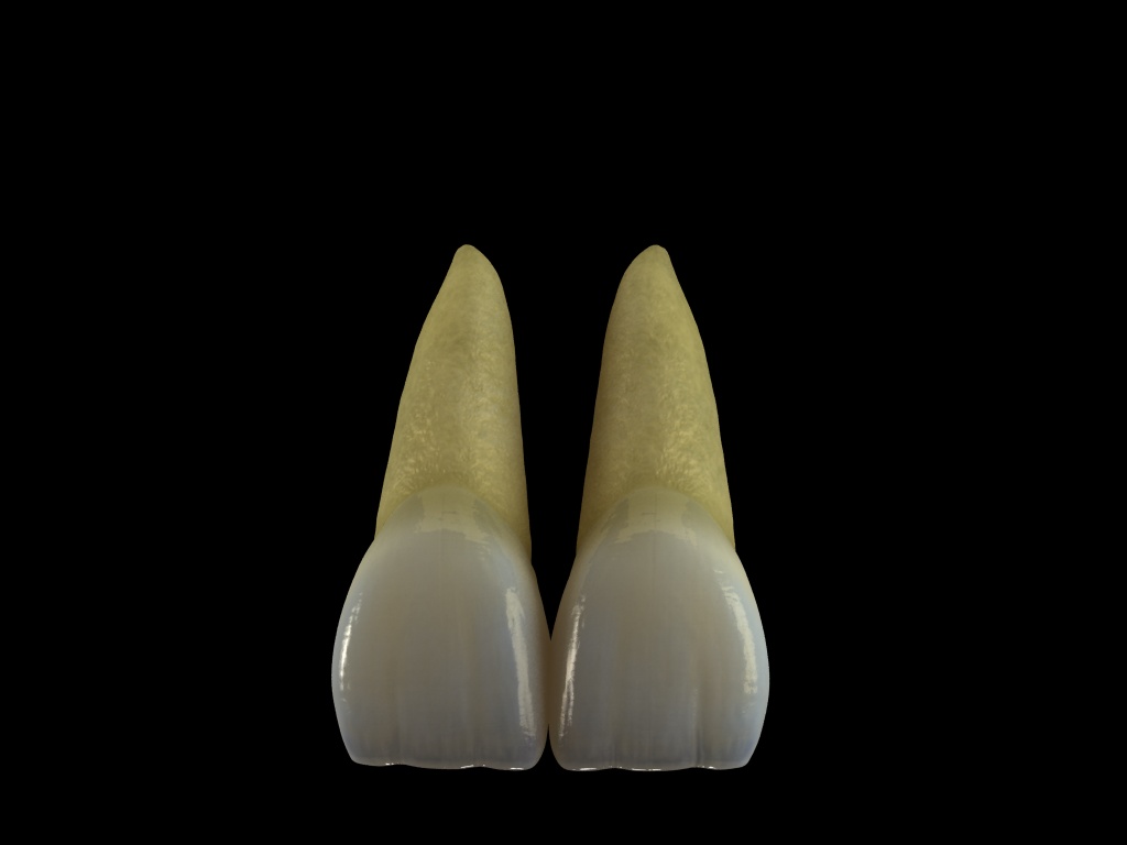 dientes1.jpg