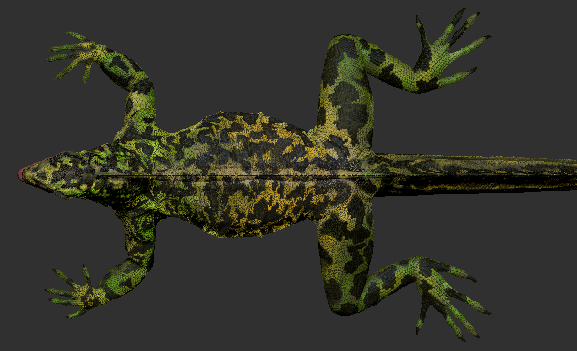 sailFin_lizard_polypaint_03