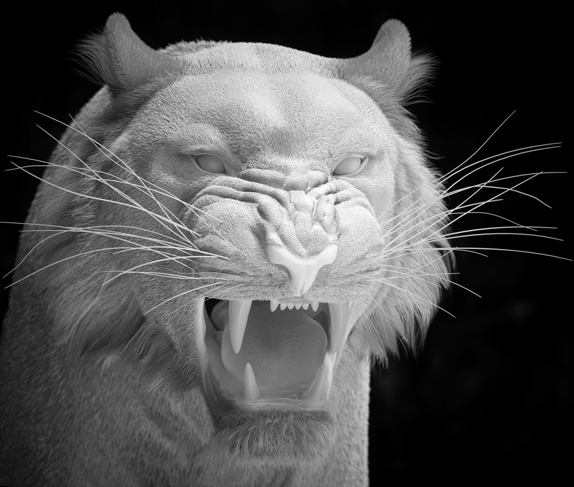 WhiteTiger_Clay