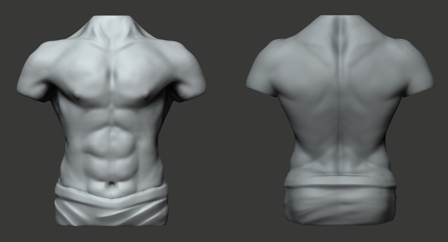torso_1.jpg