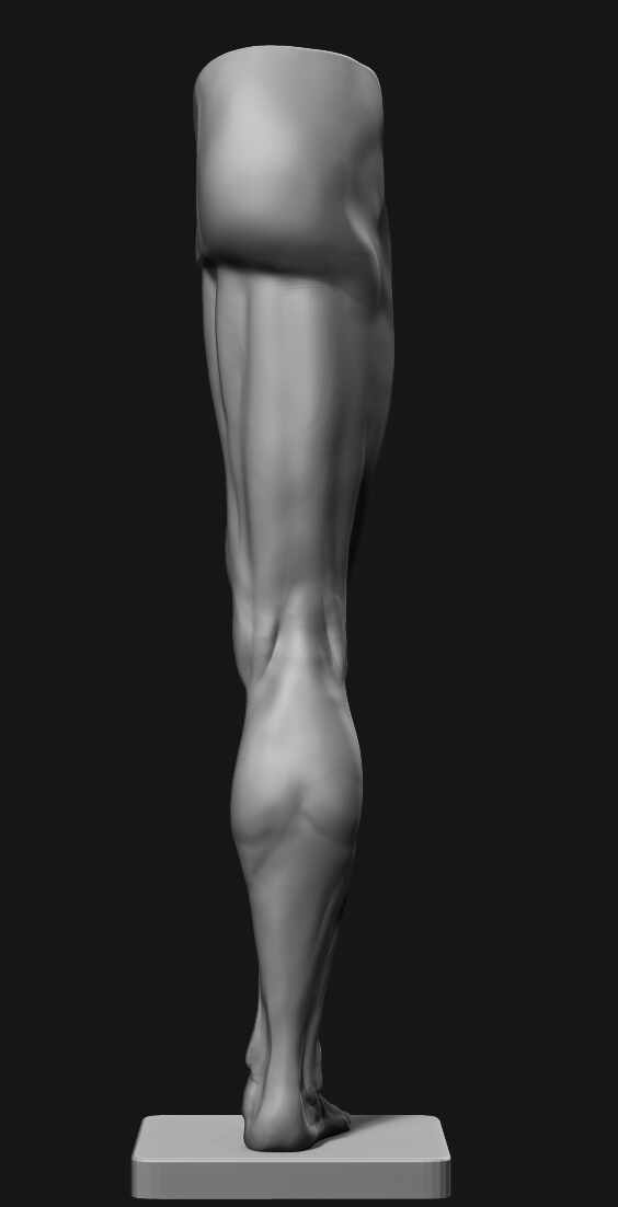 Leg_Back