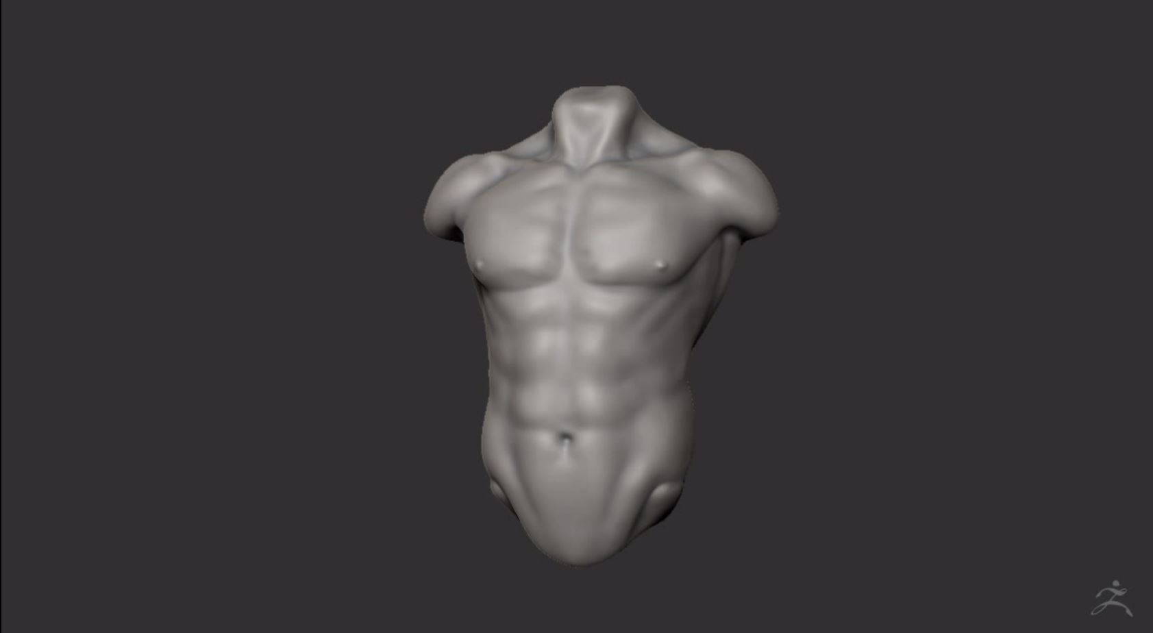 TorsoSculpt.JPG