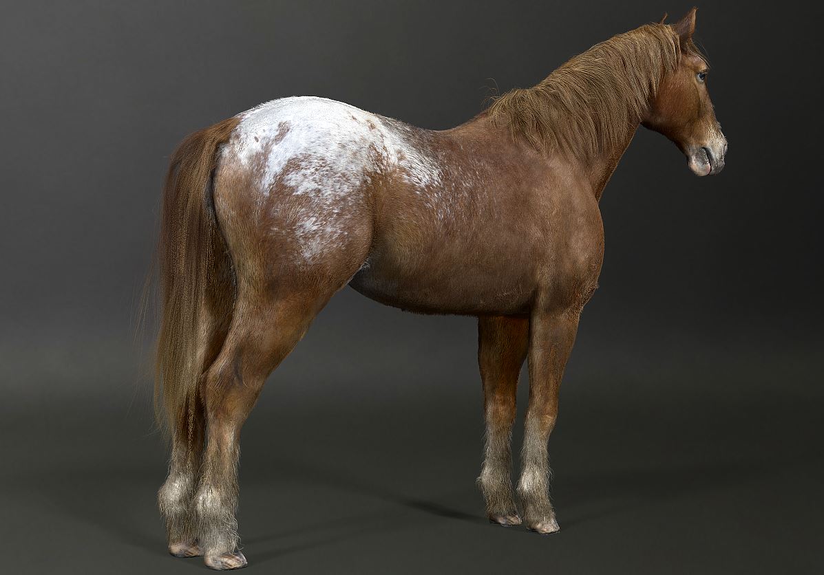 render 5.JPG