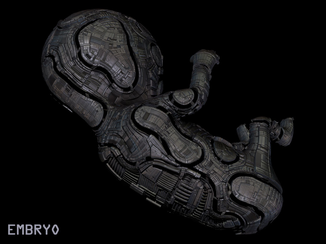 embryo3.jpg