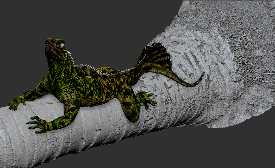 sailFin_lizard_polypaint_04