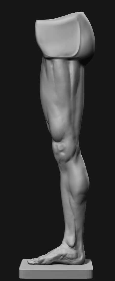 Leg_Side2