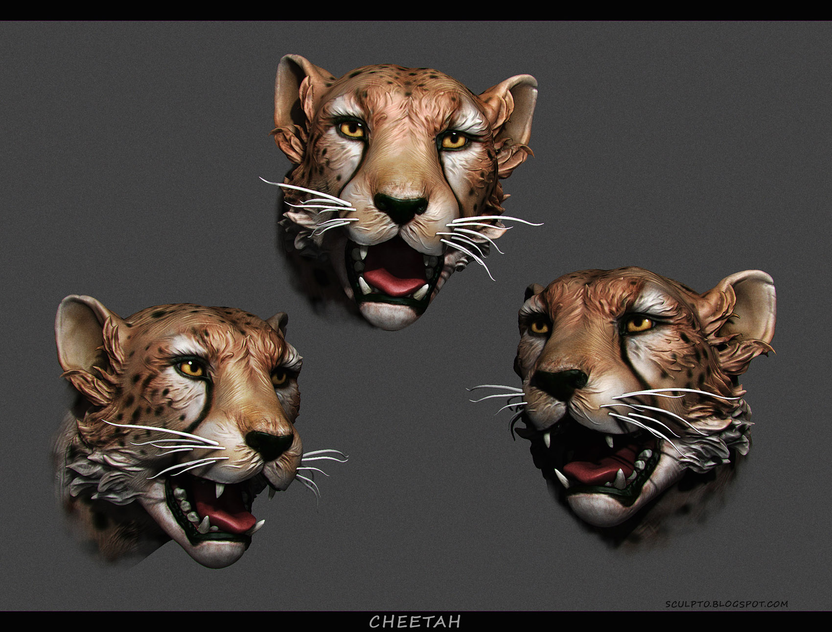 cheetah head color 1700x_9.jpg