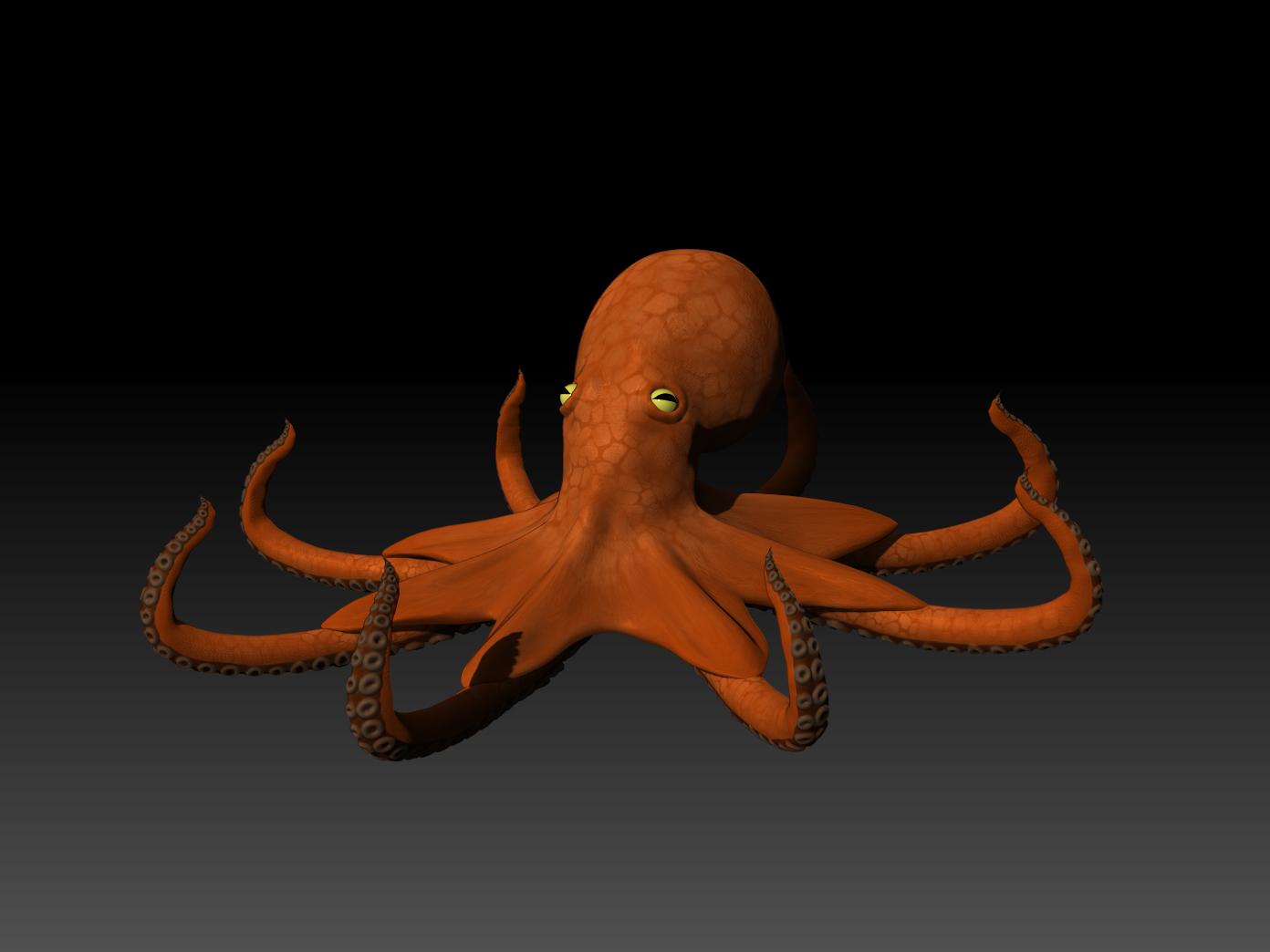 Octopus Persp Colo.jpg