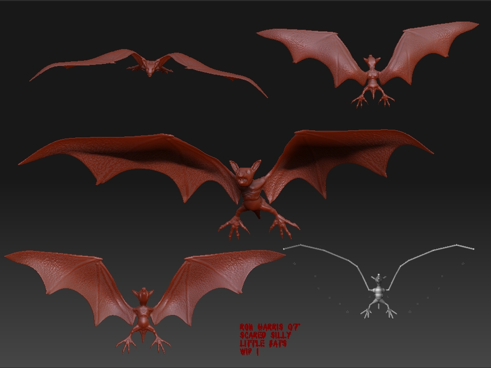 Bats1.jpg