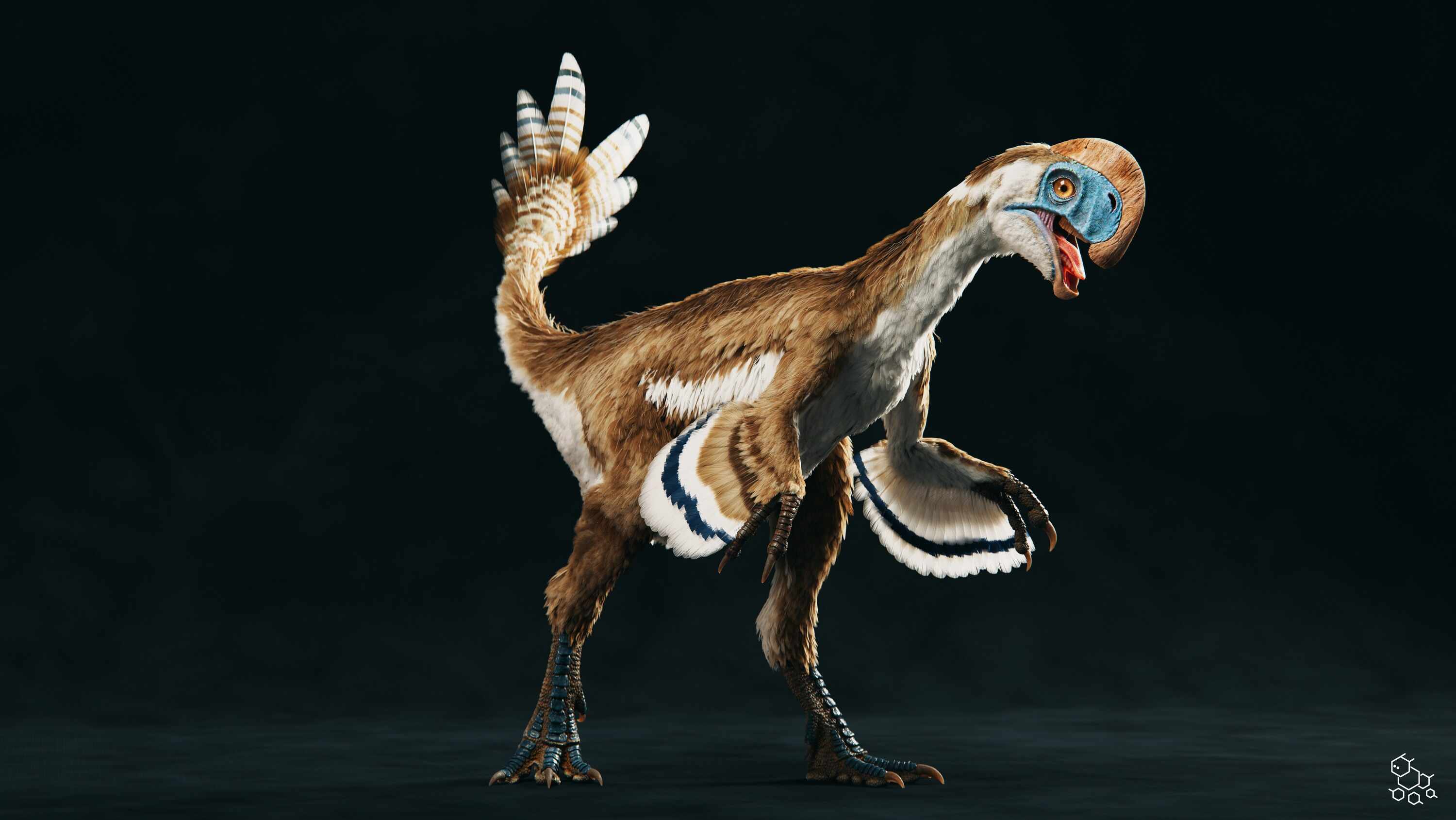 ozwrt 亀甲竜 Dioscorea Nasutoceratops TOPPAGE│OZWRT