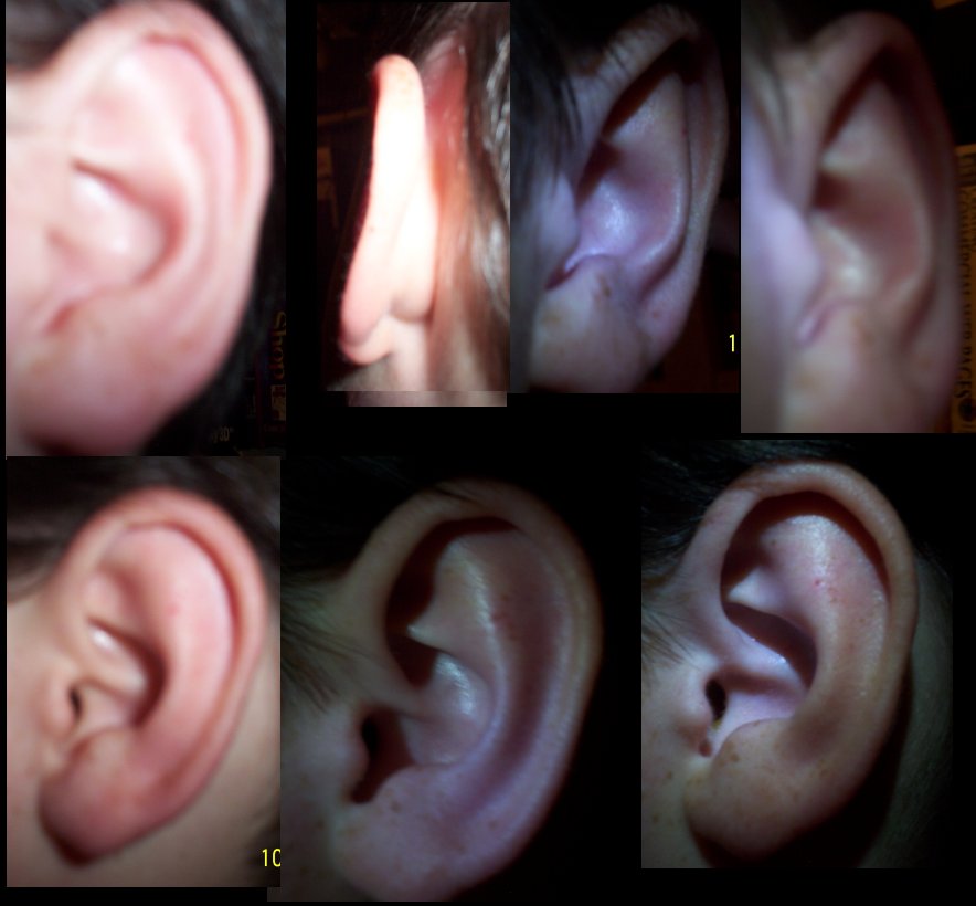 EarsCompReference1.jpg