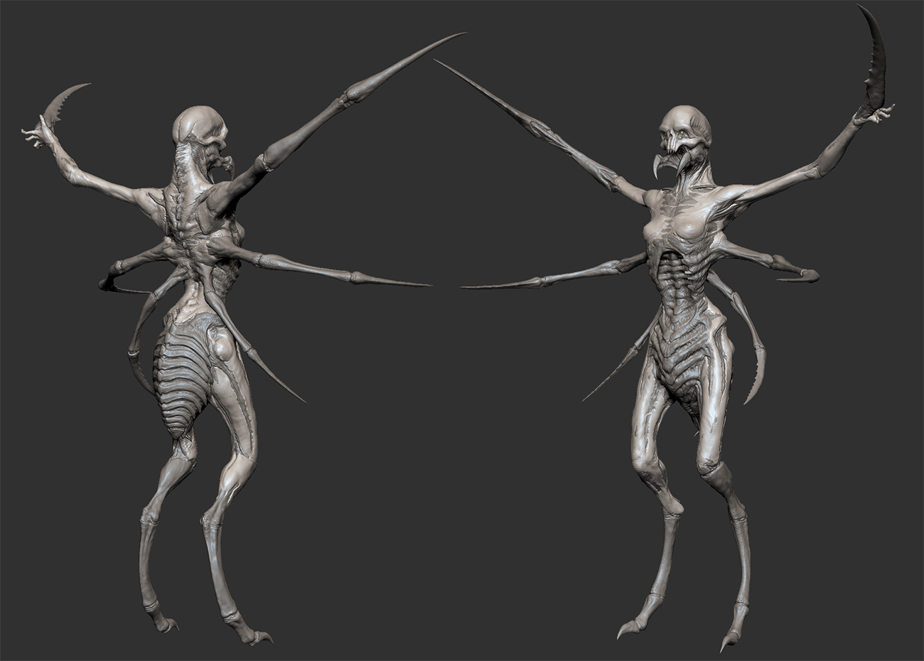 arachnaHP_small.jpg