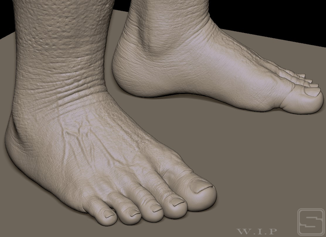 Foot.jpg