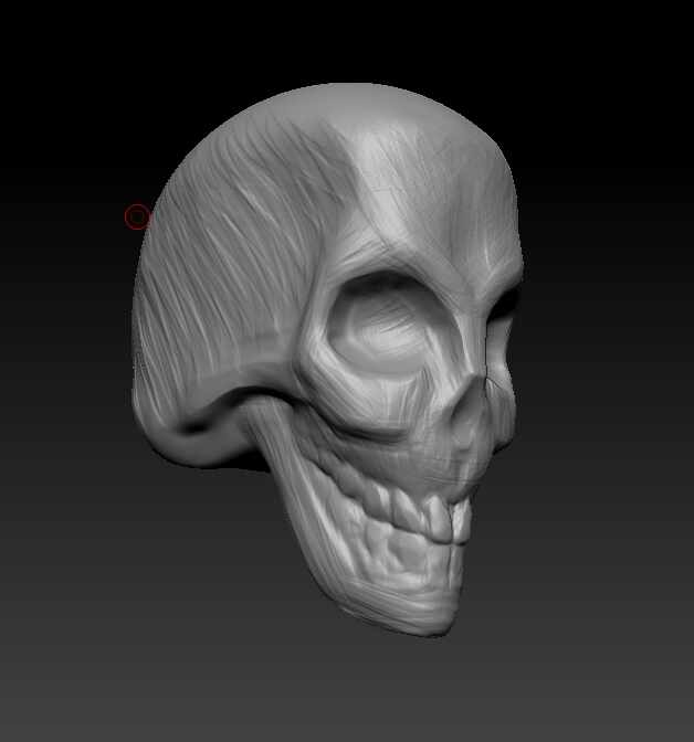 skull.PNG