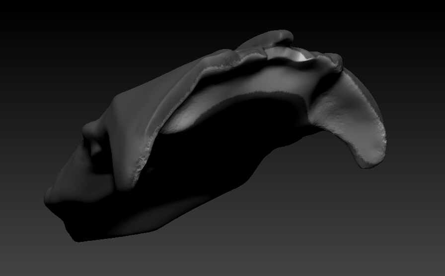 2022-07-06 13_19_05-ZBrush
