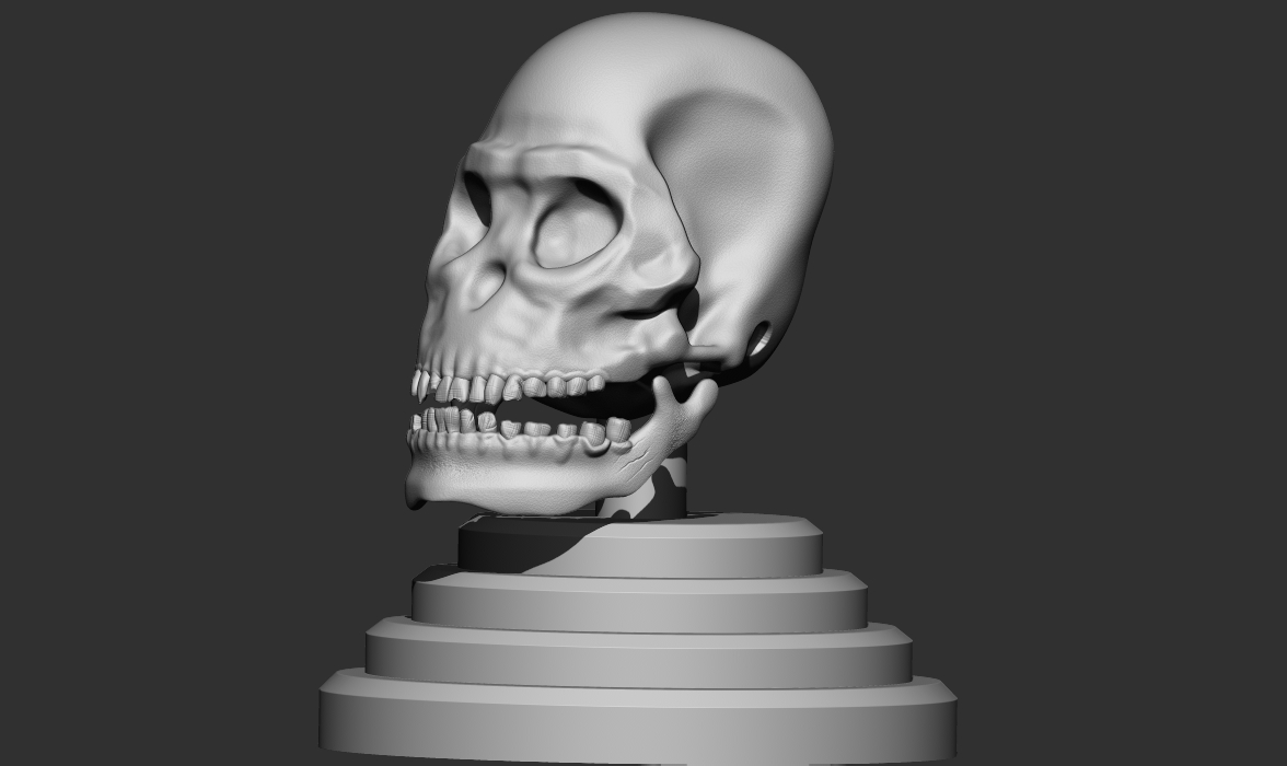 ape%20skull%201