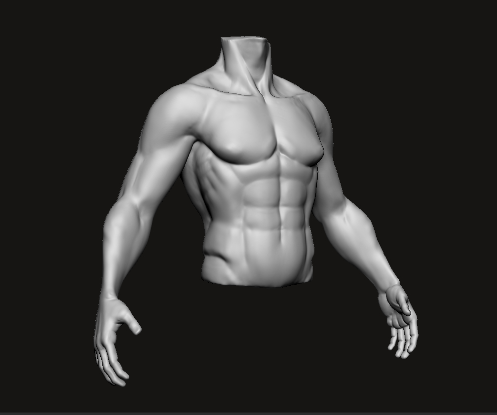 Torso_Study_Front5.jpg