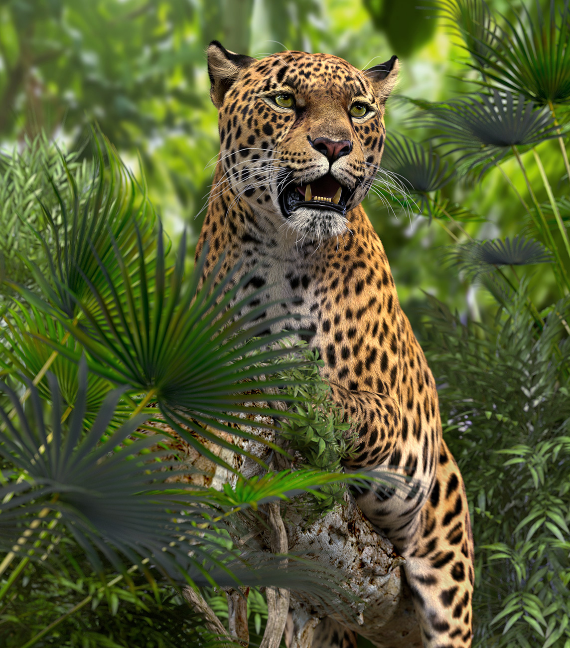 JaguarFull_Beauty