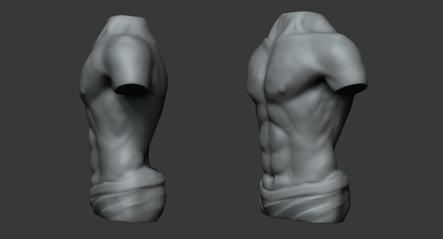 torso_2.jpg