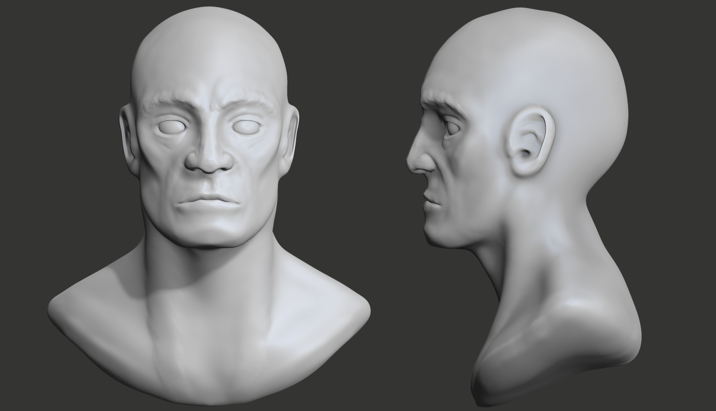 male_head_study.jpg