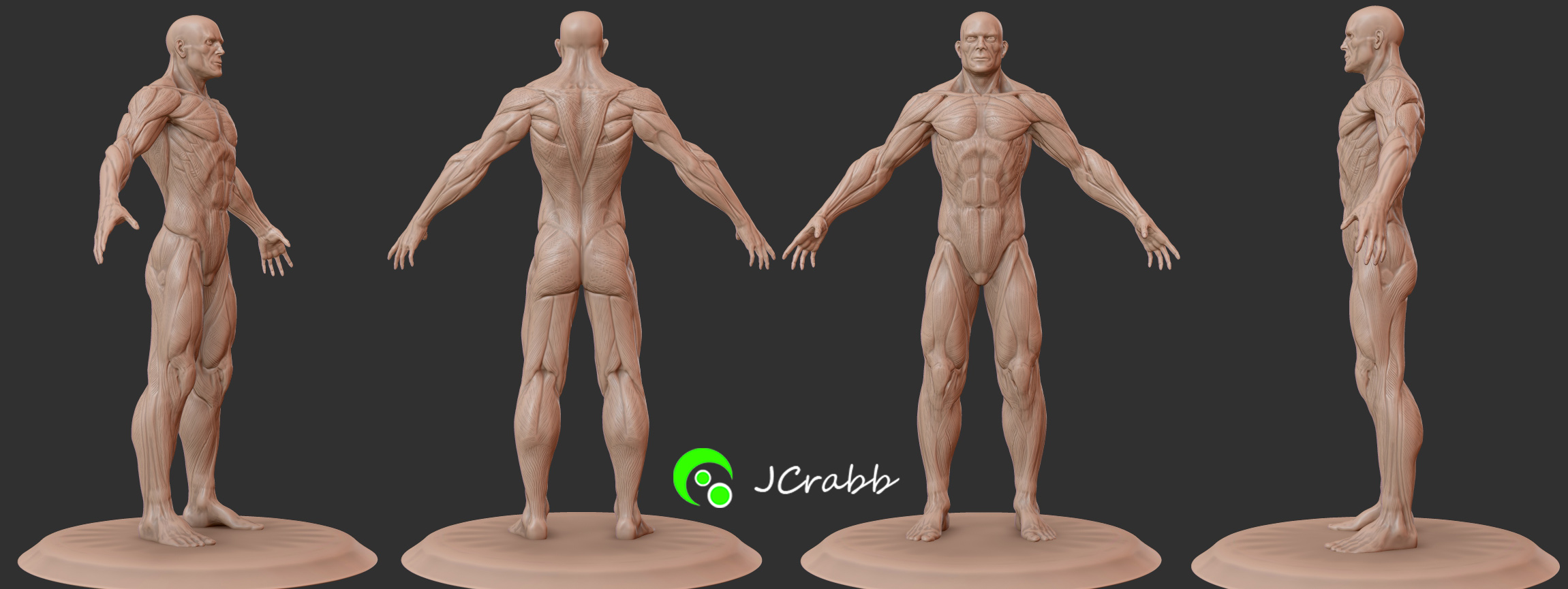 Anatomy Figurine-Full Muscle Tone.jpg