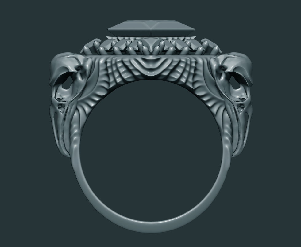 NightHawk_Ring_05.jpg